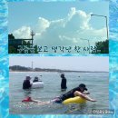 아리아리민박 | 동해바다 4박5일 여름여행 요약 (방태산계곡 양양 남애해수욕장 속초 아바이마을 스노쿨링명소 울산바위...