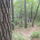 소양강둘레길 1코스 이미지