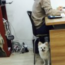 (주)위드민
