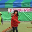 정무태권도 이미지