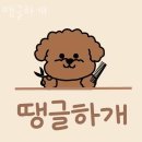 땡글하개 이미지