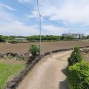 제주가자공인중개사사무소 이미지