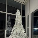 씨마크호텔 | 강릉 씨마크 호텔 솔직 후기 (⭐️⭐️⭐️⭐️⭐️)