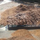 돌담농장 이미지