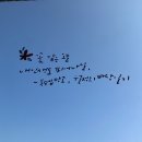 봉쉡망고월정점