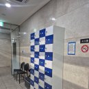 짐 더블유(GYM.W) | 강철부대W 출연자한테 직접 배우는 마곡 크라브마가 후기