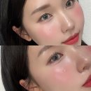 유리아 아이돌렌즈 배드캣 샴베이지, 터키쉬 블루, 이집션그레이 후기