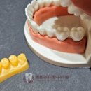 튼튼내이사랑치과의원 이미지