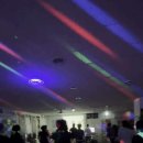 뉴점핑클럽 이미지