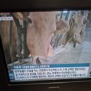 우림사료 이미지