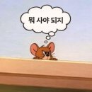 배당률 10%대 미국장기채 커버드콜 ETF 완벽정리(TIGER, SOL, KODEX)