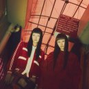 원 핏 아라 이미지