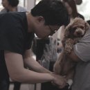 박동물병원 이미지