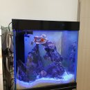 풍무숙명유치원 이미지