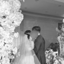 정희축사 이미지