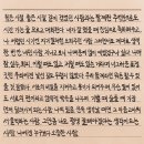 일홍 이미지