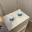 집사의하루 강남점 | [서울] 강남역 신논현역 고양이 카페 :: 집사의 하루 강남점 ｜ 내돈내산 솔직후기