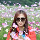 상정비봉내마을 이미지