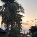 CP PC&CAFE | [공지] 발리 | 우붓 5박 6일 일정 및 경비 공유 (술집, 맛집, 카페, 마사지 리스트 정리)