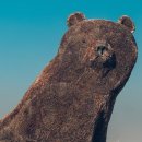 해아유치원 이미지