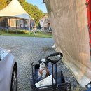 서산농협 팔봉지점 이미지