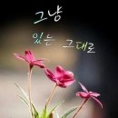 진정세탁소 네이버블로그