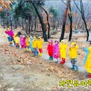 행복한숲유치원 이미지