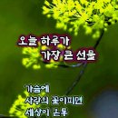 행복한하루 이미지