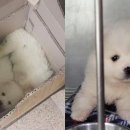 모란종합시장 이미지