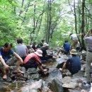 석바대영양탕 이미지