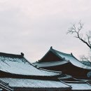 태상물산주 | [서울여행] 종로구 고궁 가볼만한 곳, 창덕궁(昌德宮)
