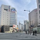 만개, 교토벚꽃명소, 난바에서교토,케아게인클라인,교토장어덮밥맛집, 난바이자카야추천, 타코야키쥬하치방