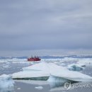 온난화에 그린란드 빙하 올해 최대치 녹아..수중 순환류도 이상 이미지