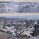 서문여자중고등학교 | 20240827 열린송현녹지광장/안동별궁터/서울공예박물관