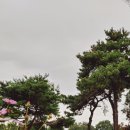 마운틴(mauntain) 이미지