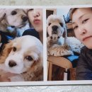 봉구하우스 이미지