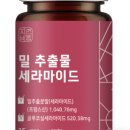 자연바름