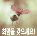 법률사무소연후