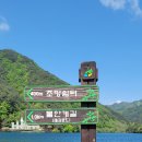 비룡 이미지