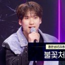불꽃 처럼 이미지