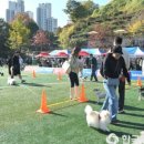 바우미우동물병원 이미지