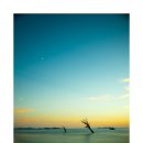 붉은노을 이미지