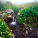 아름다운 이미지