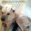 달아실 농원 이미지