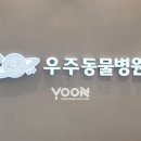우주간판 이미지