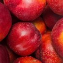 대월농장 이미지