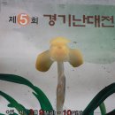 싱싱다육그린원 이미지