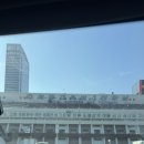 고속 터미널 화훼상가 2층 장원갤러리 크리스마스트리 구매후기 주차장 위치 투명 오너먼트 트리 완성샷