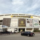 광양마동축구장 축구전용1구장 | 2 20R 전남드래곤즈축구장 후기, 경남FC 단레이 K리그...내 SNS에 가장 많이 올라가는 피드는? 바로 축구