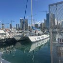 이수중학교 | 하와이 선셋 거북이 스노클링 선상파티+돌고래 투어 스노쿨링까지 완벽 체험 후기